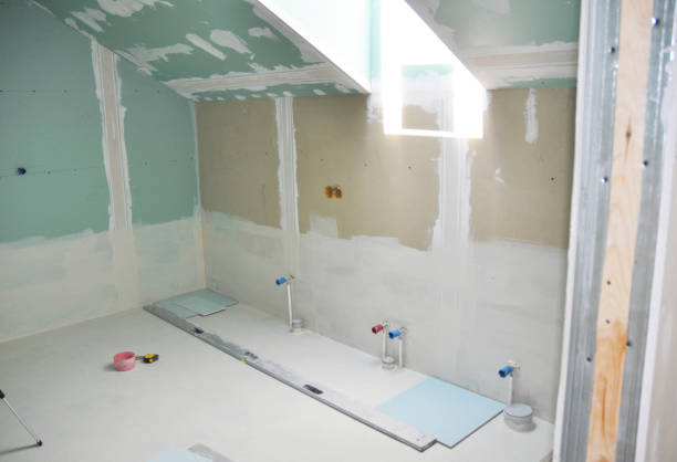 Best Mold Removal for HVAC Installations  in Littleton, CO