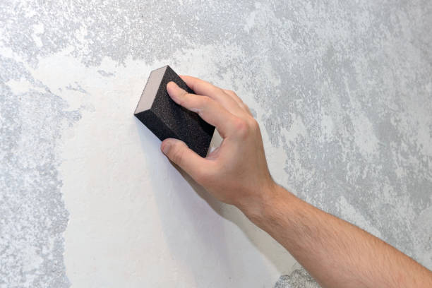 Best Biohazard Mold Removal  in Littleton, CO