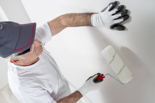 Best Crawl Space Mold Remediation  in Littleton, CO