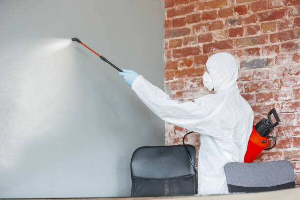 Best Forensic Mold Investigation  in Littleton, CO