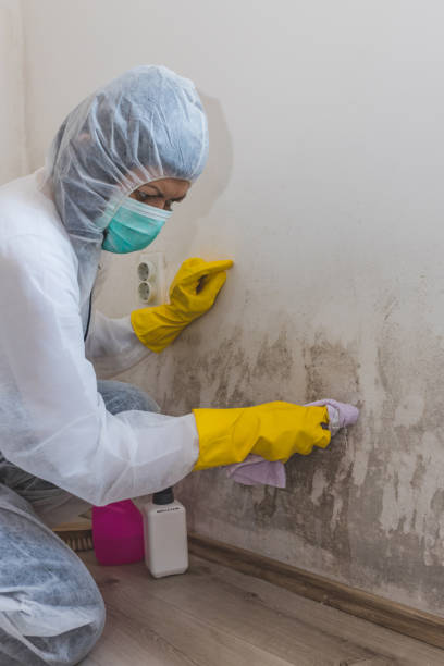 Best Air Quality Testing for Mold Spores  in Littleton, CO