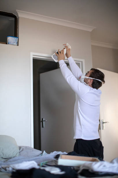  Littleton, CO Mold Removal Pros