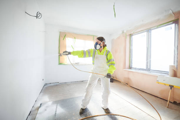 Best Black Mold Removal  in Littleton, CO